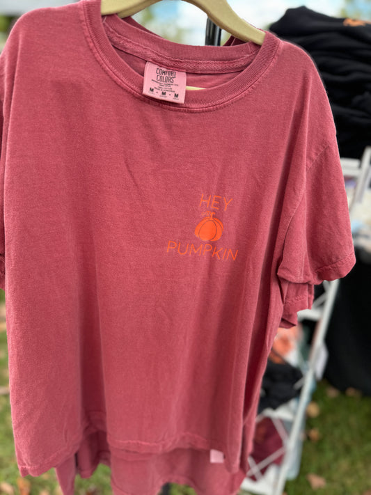 Hey Pumpkin Kids Comfort Colors T-Shirt